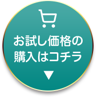 お試し価格の購入はコチラ