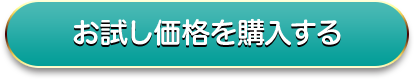 お試し価格を購入する